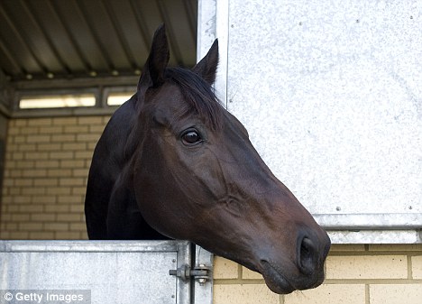 Black_Caviar